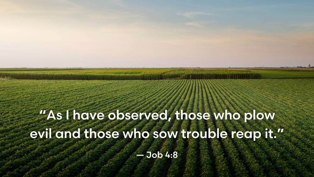 “As I have observed, those who plow evil and those who sow trouble reap it.” - Job 4:8